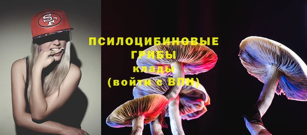дмт Алзамай