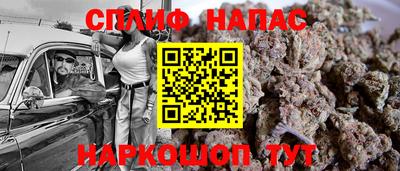 прущие грибы Рыбинск